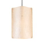 Tall pendant Tall pendant
