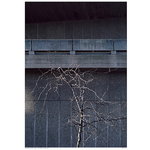 Hayward Gallery juliste Hayward Gallery juliste