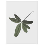 Floating Leaves 06 Floating Leaves 06