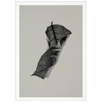 Sabi Leaf 04 juliste Sabi Leaf 04 juliste