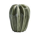Cacti, uno Cacti, uno