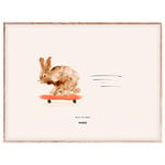 Poster, Poster Rocky the Rabbit 40 x 30 cm, Multicolore