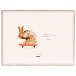 Posters, Rocky the Rabbit poster 40 x 30 cm, Flerfärgad