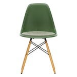 Dining chairs, Eames DSW chair, forest - maple - ivory/forest cushion, Natural