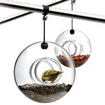 Bird feeder Bird feeder