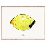 Julisteet, Lemon juliste 40 x 30 cm, Monivärinen
