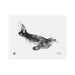 Posters, Ringed Seal poster, 40 x 30 cm, White