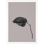 Sabi Leaf 03 juliste Sabi Leaf 03 juliste