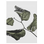 Posters, Floating Leaves 03, Vit
