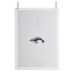 Whale Reprise poster Whale Reprise poster