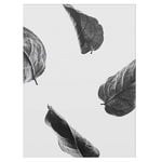 Floating Leaves 02 Floating Leaves 02