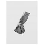 Floating Leaves 01 Floating Leaves 01