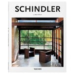 Architecture, Schindler, Multicolour