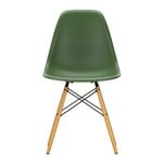Dining chairs, Eames DSW chair, forest - maple, Green