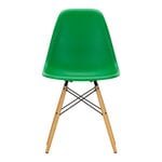 Dining chairs, Eames DSW chair, green - maple, Green