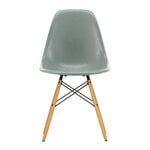 Eames DSW Fiberglass Chair, sea foam green - maple