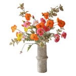 Botané Ramo Poppy Spritz