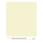 Wandfarben, Farbmuster, 031 CHARLES – Bright Cold Yellow, Gelb