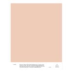 Paint sample, LB5 EDITH - dusty pink