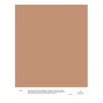 Paint sample, 022 EVELYN - mid rose-brown