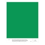 Paint sample, 029 JACK - mid bright green