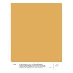 Pitture, Campione di pittura, 032 KAREN - mustard, Giallo