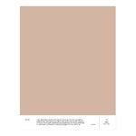 Paint sample, 021 SIRI - rose beige
