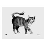 Posters, Cat poster, 40 x 30 cm, Svart och vit