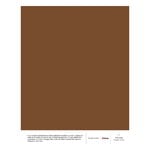 Paints, Cover Story x Iittala paint sample, i03 VOLTER, Brown