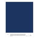 Cover Story paint sample, 033 JULES - deep blue