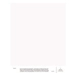 Paints, Paint sample, 037 MINNA - gentle all white, White