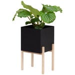 Planters & plant pots, Botanic Pedestal pot, Black