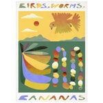 Poster, Poster Birds, Worms, Bananas, Bianco