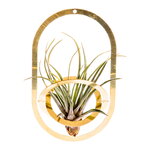 Supporti per vasi, Contenitore per piante Air Pendant, ottone, Oro