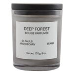 Candele profumate, Candela profumata Deep Forest, 170 g, Grigio