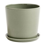 Botanical Family pot and saucer, L, dusty green