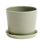 Botanical Family pot and saucer, M, dusty green