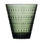 Bicchieri da acqua, Bicchiere Kastehelmi, 30 cl, 2 pz, verde pino, Verde