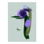 Posters, Iris art print, Green