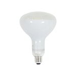 Light bulbs, LED lamp E27 R125 12W 2700K 1080lm, White