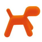 Puppy, M, arancione