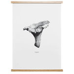 Nature 1:1 Chanterelle juliste, pale white Nature 1:1 Chanterelle juliste, pale white