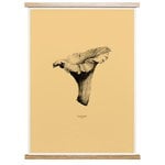 Nature 1:1 Chanterelle poster, pale yellow Nature 1:1 Chanterelle poster, pale yellow