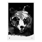 Julisteet, Salaperäinen karhu juliste, 50 x 70 cm, Mustavalkoinen