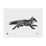 Poster, Adventurous Fox Poster, 40 x 30 cm, Schwarz & weiß