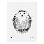 Posters, Hedgehog poster, 30 x 40 cm, Black & white