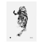 Julisteet, Vaaniva tiikeri juliste, 30 x 40 cm, Mustavalkoinen