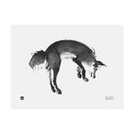Posters, Leaping fox poster, 40 x 30 cm, White