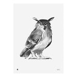 Posters, Owl poster, 50 x 70 cm, White