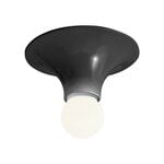 Teti wall/ceiling lamp, anthracite grey